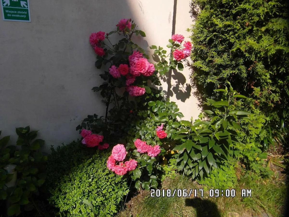Accommodatie bij particulieren Iwona Hostel - Budget Rooms With Private Bathrooms Sopot